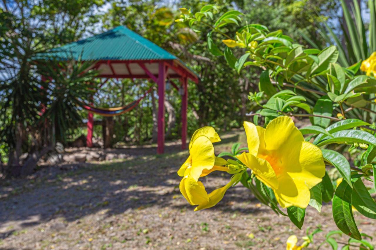 Villas Ti Creole Nogent Sainte-Rose Esterno foto